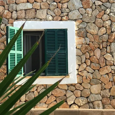 Dream For Nature Lovers In Alaro! Аларо
