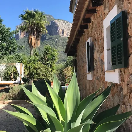 Dream For Nature Lovers In Alaro! Аларо