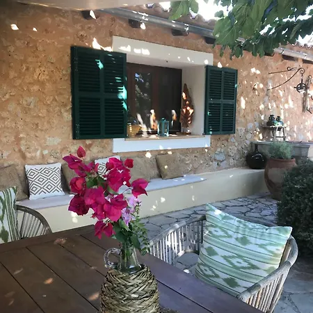 Dream For Nature Lovers In Alaro! * Аларо