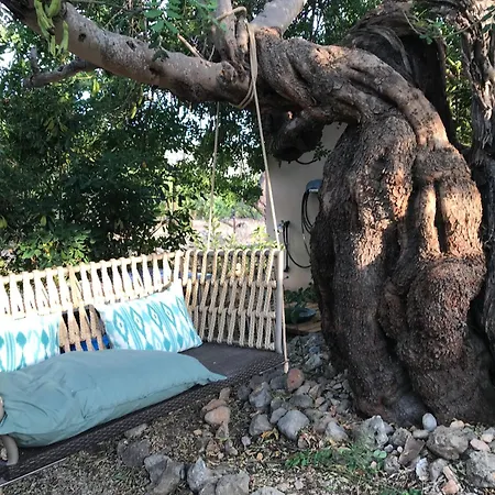 Dream For Nature Lovers In Alaro!