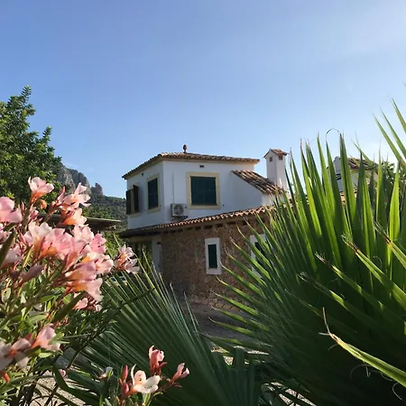 Dream For Nature Lovers In Alaro!