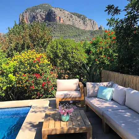 Dream For Nature Lovers In Alaro!